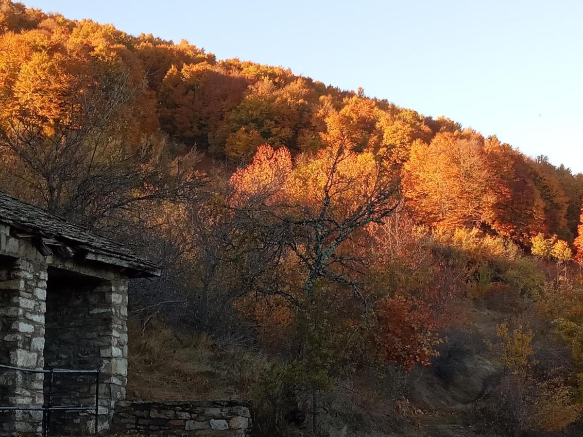 Guesthouse Kontogianni - Materka Nimfaíon 외부 사진