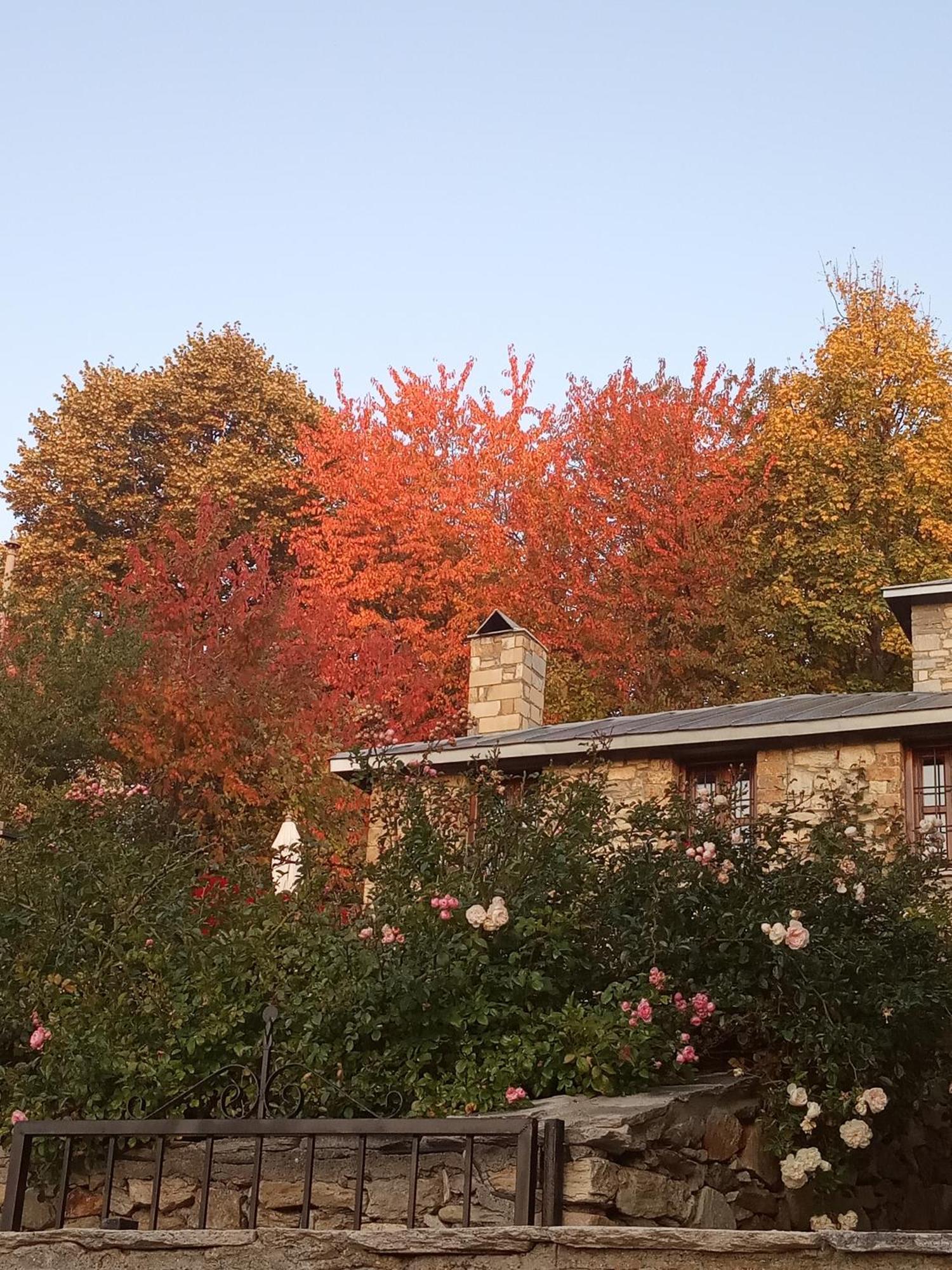 Guesthouse Kontogianni - Materka Nimfaíon 외부 사진
